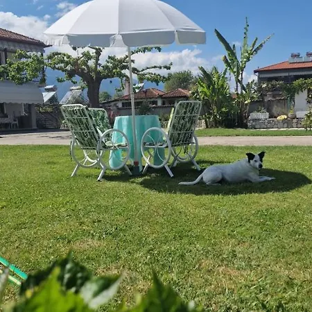 Dimitris Apartman