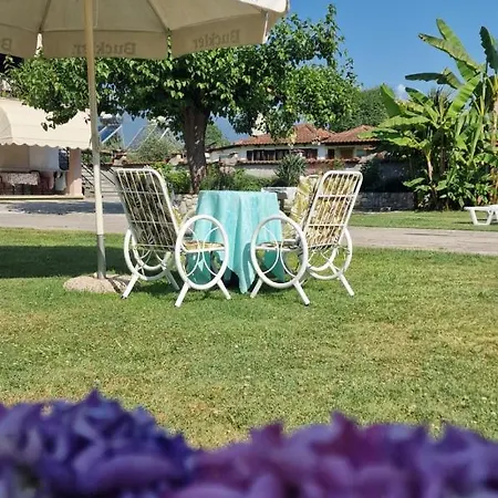 Apartment Dimitris Paralia Panteleimonos
