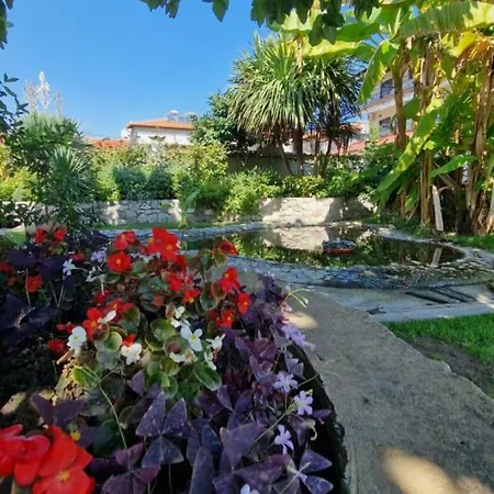 Dimitris Apartman *